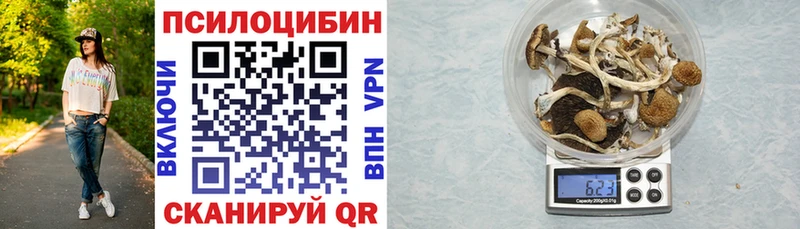 Псилоцибиновые грибы мицелий  Городец 