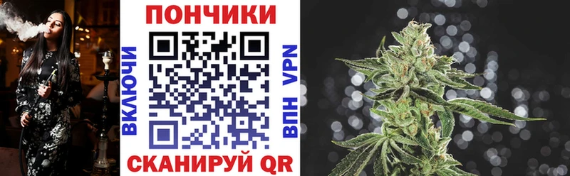 купить наркоту  Городец  Бошки Шишки OG Kush 